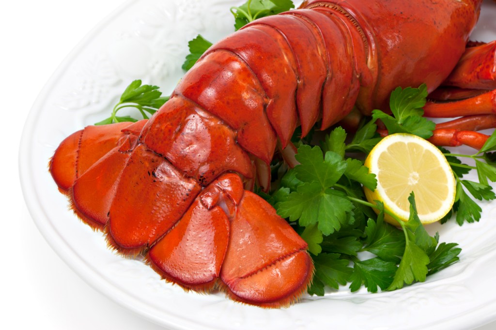 Food and Wellness: Eat Your Way to Weight&nbsp;Loss-Lobster